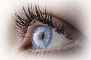 Close up of Human Eye - Progressive Eye Care, South Jordan UT